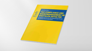 Tax Compliance und Risikomanagement Buch