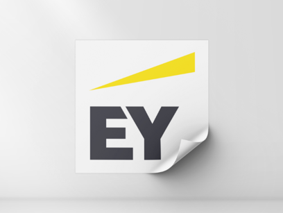 EY ORGANISATION Vorschau 750X500px